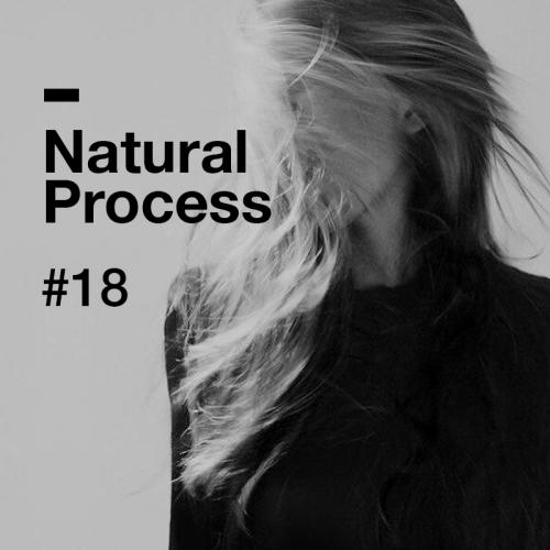 Natural Process #18