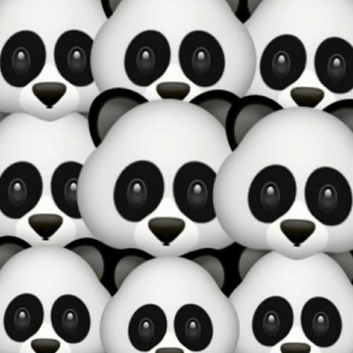 SNAPCHAT ME THAT PANDA OR FACETIME ME THAT PANDA IF IT&#039;S COOL FRESH