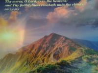 Christians Dance? 600(+2) Mix Fox Part 3