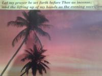 Christians Dance? 600(+3) Fox Part 4