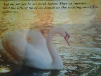 Christians Dance? 600(+4) Mix Fox Part 5