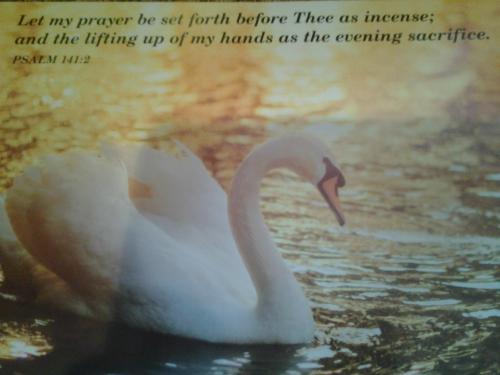 Christians Dance? 600(+4) Mix Fox Part 5