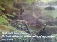 Christians Dance? 600(+6) Mix Fox Part 7