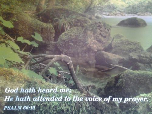 Christians Dance? 600(+6) Mix Fox Part 7