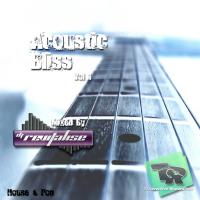Acoustic Bliss Vol 1 (Mixed By DJ Revitalise) (2015)