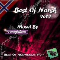 Best Of Norsk (Mixed By Revitalise) (2015)