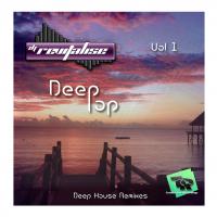DeepPop Vol 1 (Mixed By DJ Revitalise) (2016) (Deep House Remixes)