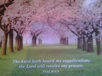 Christians Dance? 80s 2Dance2 #21