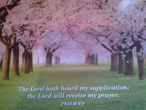 Christians Dance? 80s 2Dance2 #21