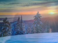 Christians Dance? ElectroParadise