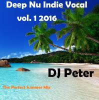 Deep Nu Indie Vocal  vol. 1 2016 - DJ Peter