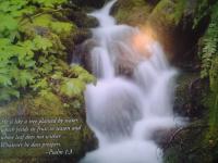 Christians Dance? TranceTime-Cyborg