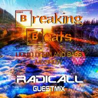 Breaking Beats Guestmix - Radicall