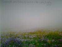 Christians Dance? 80s 2Dance2 #31