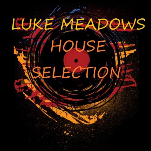 Volume 222 - Luke Meadows House Selection