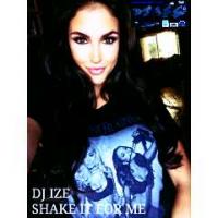 DJ IZE - MAKE IT SHAKE FOR ME
