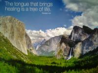 Christians Dance? ElectroEndurance