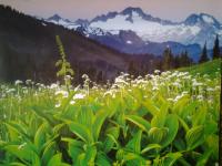 Christians Dance? 80s 2Party2 #3