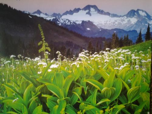 Christians Dance? 80s 2Party2 #3