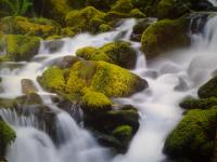 Christians Dance? TranceTime-Lights