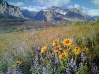 Christians Dance? 802 2Party2 #7