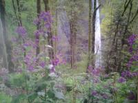 Christians Dance? 700th Mix Falco Part 1