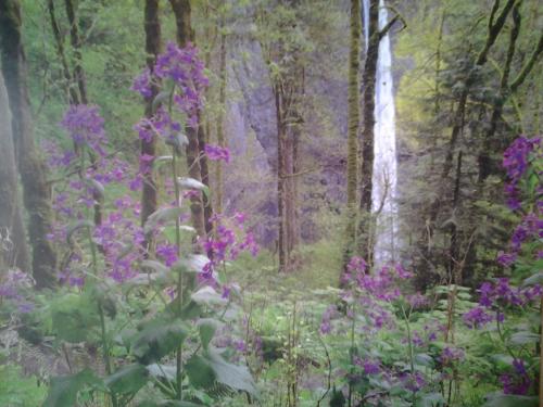 Christians Dance? 700th Mix Falco Part 1