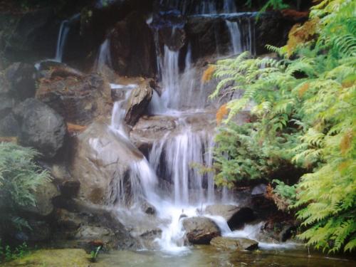 Christians Dance? 700(+3) Mix Falco Part 4