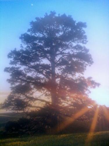 Christians Dance? 700(+4) Mix Falco Part 5