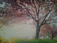 Christians Dance? 80s 2Party2 #9