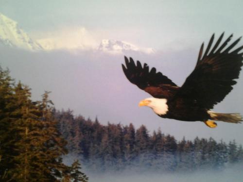 Christians Party? Let Freedom Ring