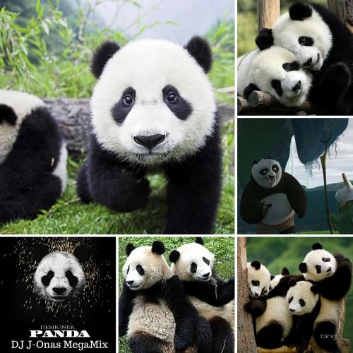 Panda MegaMix