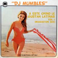DJ Mumbles - a Este Chino Le Gustan Latinas vol. 1 (Reggaeton 2016)
