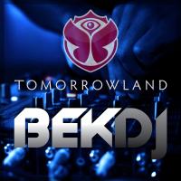 Tomorrowland 2016 - Festival Mix