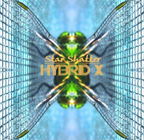 Hybrid X