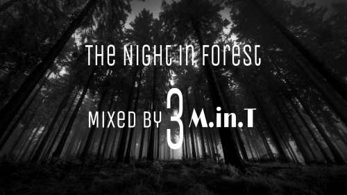 The Night in Forest 3 
