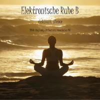 Elektronische Ruhe - electronic silence B