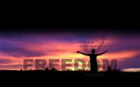 Christians Dance? 800(+6) Mix Doves
