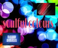 2016 SOULFUL COLOURS BY DOKTOR@FUNK &amp; DAVID DIBASS