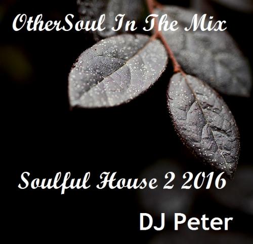 DJ Peter - OtherSoul In The MIX - Soulful House 2 2016