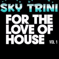 FOR THE LOVE OF HOUSE VOL 1