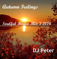 DJ Peter - Autumn Feelings - Soulful House Mix 3 2016