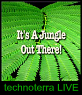 its a JUNGLE out there - TECHNOTERRA ( live performance )