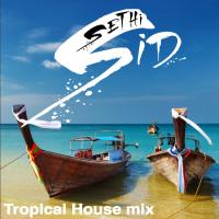 Tropical House Mix - 2016 - Vol #1