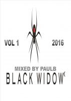 CLUB MIX BLACK WIDOW VOL 1 2016