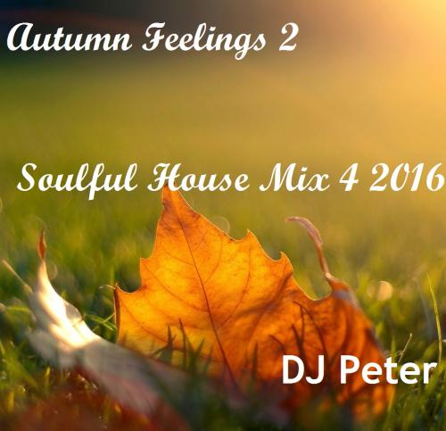 DJ Peter - Autumn Feelings 2 - Soulful House Mix 4 2016