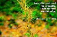 Christians Dance? 80s 2Party2 #46