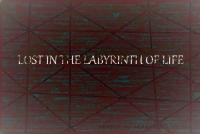 lost in the labyrinth of life