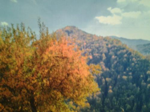 Christians Dance? Techno Research