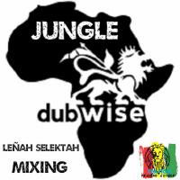 JUNGLE &amp; DUBWISE MIXING by Leñah Selektah